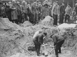 American troops with the 82nd Airborne Division look on as German exhume corpses from a mass grave. [LCID: 76892]