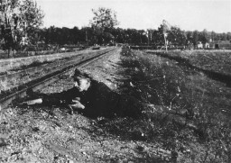 Jewish partisan Boris Yochai plants dynamite on a railroad track. [LCID: 76847a]