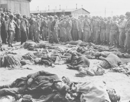 Focus on Liberation - Photograph