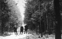 Three Jewish partisans in Wyszkow Forest near Warsaw. [LCID: 85803]