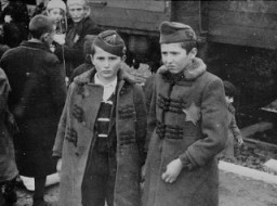 Photograph of Yisrael and Zelig Jacob, the younger brothers of Lili Jacob, from the Auschwitz Album.