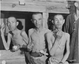 Emaciated survivors in the Ebensee subcamp of the Mauthausen concentration camp suck on sugar cubes provided by US soldiers upon the liberation of the camp. Photograph taken by Signal Corps photographer J Malan Heslop. Ebensee, Austria, May 8, 1945.