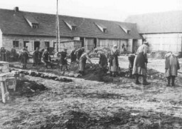 囚犯们在拉文斯布吕克 (Ravensbrueck) 集中营进行强制劳动。