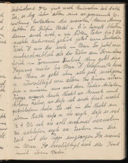 Marga Himmler diary entry, March 1938