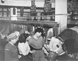 An agricultural training farm to prepare Jewish refugees for life in Palestine, sponsored by the Joint Distribution Committee. [LCID: 30142]