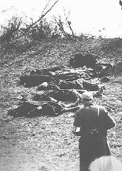 在多瑙河沿岸的一次射杀行动后的惨状；亲德的箭十字党党徒在多瑙河沿岸大肆屠杀数千犹太人。