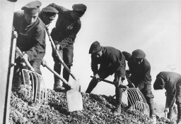 Slovak Jewish men work at road building in a forced-labor camp. [LCID: 77939]