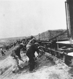 強制労働 - ストについて — 写真