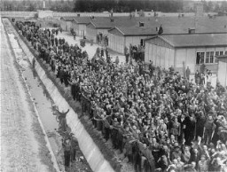 Foule de survivants acclamant les forces américaines à la suite de la libération du camp de concentration de Dachau par celles-ci.