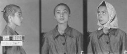 Az auschwitzi tábor egyik női foglyának azonosító képei.