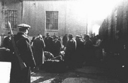 Judíos procedentes de Macedonia y Tracia, ocupadas por los búlgaros, durante su deportación a Lom desde la fábrica de tabaco "Monopol" (que se usó como campo de tránsito). Estas personas fueron enviadas primero a Viena y luego al campo de Treblinka. Skopje, Yugoslavia, entre el 11 y el 31 de marzo de 1943.