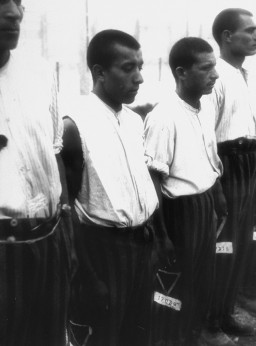 다하우 집단 수용소에서 출석 검사를 받기 위하여 줄서있는 로마니(집시) 수감자들.