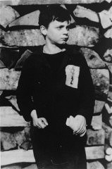 A Jewish child wears the compulsory Star of David badge with the letter "Z" for Zidov, the Croatian word for Jew. Yugoslavia, ca. 1941.