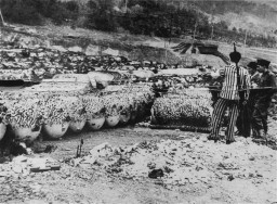 Liberated inmates of Dora-Mittelbau