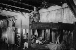 Survivants du camp de concentration de Mauthausen. Autriche, mai 1945.