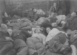 Réfugiés juifs, dans le cadre de la Brihah (le départ en masse des Juifs d’Europe orientale après-guerre), dans un fourgon en route pour un camp de personnes déplacées dans la zone d’occupation américaine. Allemagne, 1945 ou 1946.