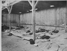 Interior view of prisoners' barracks at the Ohrdruf subcamp of the Buchenwald concentration camp. [LCID: 00645]