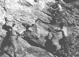 کارگران یهودی در معدن سنگ اردوگاه بیگاری که توسط دولت مجارستان ایجاد شده بود.