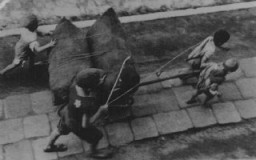 Enfants juifs obligés de traîner une charrette. Ghetto de Lodz, Pologne, pendant la guerre.