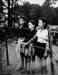 Enfants juifs, débarqués de force par des soldats britanniques de l’"Exodus 1947,” se tenant derrière une barrière de fil de fer barbelé. Photographie prise par Henry Ries. Camp de personnes déplacées de Poppendorf, Allemagne, septembre 1947.