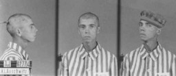 Az auschwitzi tábor egyik zsidó foglyának azonosító képei.