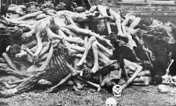 The bodies of former prisoners are piled outside the crematorium at the newly liberated Dachau concentration camp. Dachau, Germany, April–May 1945.
This image is among the commonly reproduced and distributed, and often extremely graphic, images of liberation. These photographs provided powerful documentation of the crimes of the Nazi era. 