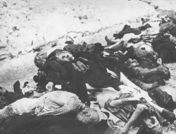 یہودی بستی میں جرمن ایس ایس اور ہنگیرین ایرو کراس کی دہشت گردی کا نشانہ بننے والے۔ یہ لاشیں ڈوہانی اسٹریٹ کی پیسٹر یہودی عبادتگاہ کے صحن میں پائی گئیں۔