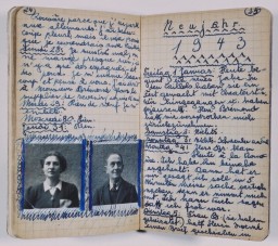 Page from the diary of Peter Feigl
