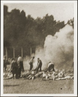 A pile of victims burns in the middle of a fenced in clearing surrounded by trees. Several people stand in the pile and move bodies. There is a large cloud of smoke rising from the pile.