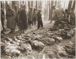 A Hungarian Jewish youth views the body of his father, who was shot by the SS during a death march, while American liberators prepare ... [LCID: 82958]