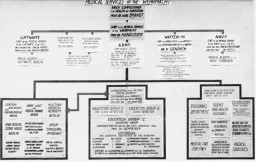 Chart used by the prosecution in the Doctors' Trial illustrates the organization of the Medical Services of the Wehrmacht (German armed forces). Nuremberg, Germany, December 9, 1946-August 20, 1947.