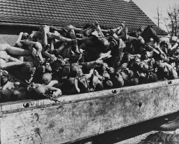 A wagon is full of bodies of victims of the Buchenwald concentration camp. The victims are stacked, with some facing feet-first towards the camera.