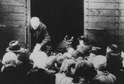<p>Déportation des Juifs du camp de transit de Westerbork. Pays-Bas, 1943.</p>