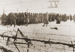 Photograph from a series taken by a guard in the Soviet POW camp of Belzen bei Bergen, and numbered in Roman numerals by the American ... [LCID: 88847]