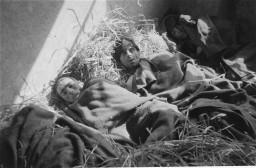 Survivors in a barracks at the Wöbbelin concentration camp. [LCID: 09247]