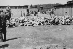 Large pile of emaciated victims in the middle of a clearing surrounded by buildings. Several uniformed figures stand around the pile, including one uniformed man who stands on top of a wooden trailer and appears to be taking a photograph.
