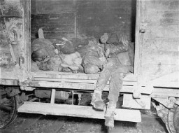 Corpses lie in one of the open railcars of the Dachau death train. The Dachau death train consisted of nearly forty cars containing the bodies of between two and three thousand prisoners transported to Dachau in the last days of the war. Dachau, Germany, April 29, 1945.
This image is among the commonly reproduced and distributed, and often extremely graphic, images of liberation. These photographs provided powerful documentation of the crimes of the Nazi era. 