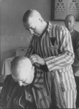 Afeitando a un prisionero en el campo de concentración de Sachsenhausen.
