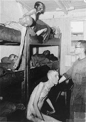 Emaciated survivors in barracks in the Mauthausen camp. Austria, May 1945, after liberation.