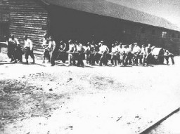 Judíos en trabajos forzados en un campo militar en Sarajevo. Yugoslavia, después de marzo de 1941.