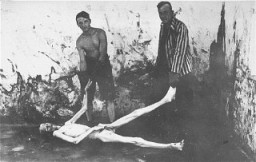 Survivors of the Dachau concentration camp prepare to move a corpse during a demonstration of the cremation process at the camp. Dachau, Germany, April 29–May 10, 1945.
This image is among the commonly reproduced and distributed, and often extremely graphic, images of liberation. These photographs provided powerful documentation of the crimes of the Nazi era.