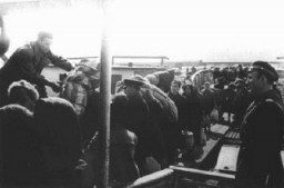 Jews forced to board a deportation ship in the Danube River port of Lom during deportations from Bulgarian-occupied territories. They were deported, through Vienna, to the Treblinka camp in German-occupied Poland. Lom, Bulgaria, March 1943.