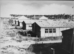 An elevated view of a row of long wooden buildings. Shrubbery grows up between the buildings with clear paths in the dirt. Several larger buildings and woods can be seen in the far background.