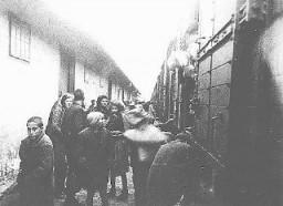Macedonian Jews prepare to board a deportation train in Skopje. Skopje, Yugoslavia, March 1943.
The Jews of Bulgarian-occupied Thrace and Macedonia were deported in March 1943. On March 11, 1943, over 7,000 Macedonian Jews from Skopje, Bitola, and Stip were rounded up and assembled at the Tobacco Monopoly in Skopje, whose several buildings had been hastily converted into a transit camp. The Macedonian Jews were kept there between eleven and eighteen days, before being deported by train in three transports between March 22 and 29, to the Treblinka killing center.