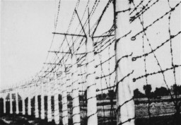 The barbed wire fence that enclosed the Breendonck concentration camp.