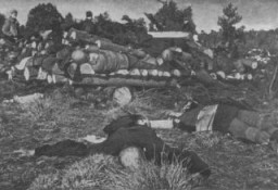 Cadáveres de prisioneros del campo de concentración de Klooga apilados para la incineración.