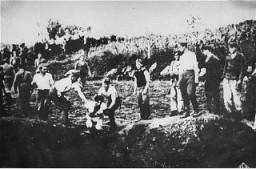 Des gardiens oustachi (fascistes croates) poussent un détenu dans un puits pour l’abattre. Camp de concentration de Jasenovac. Yougoslavie, probablement en 1942.