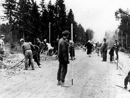 Polacos haciendo trabajos forzados construyen un autopista en Alemania .
