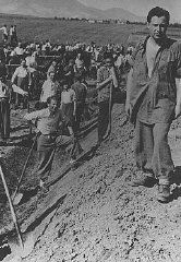 Prisioneros de un campo de trabajos forzados para judíos en el área de Transilvania ocupada por Hungría. Marosfelfalu, Transilvania, 1941.