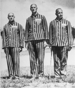 Austrian prisoners, marked with triangles and identifying patches, in the Dachau concentration camp. [LCID: 78552]